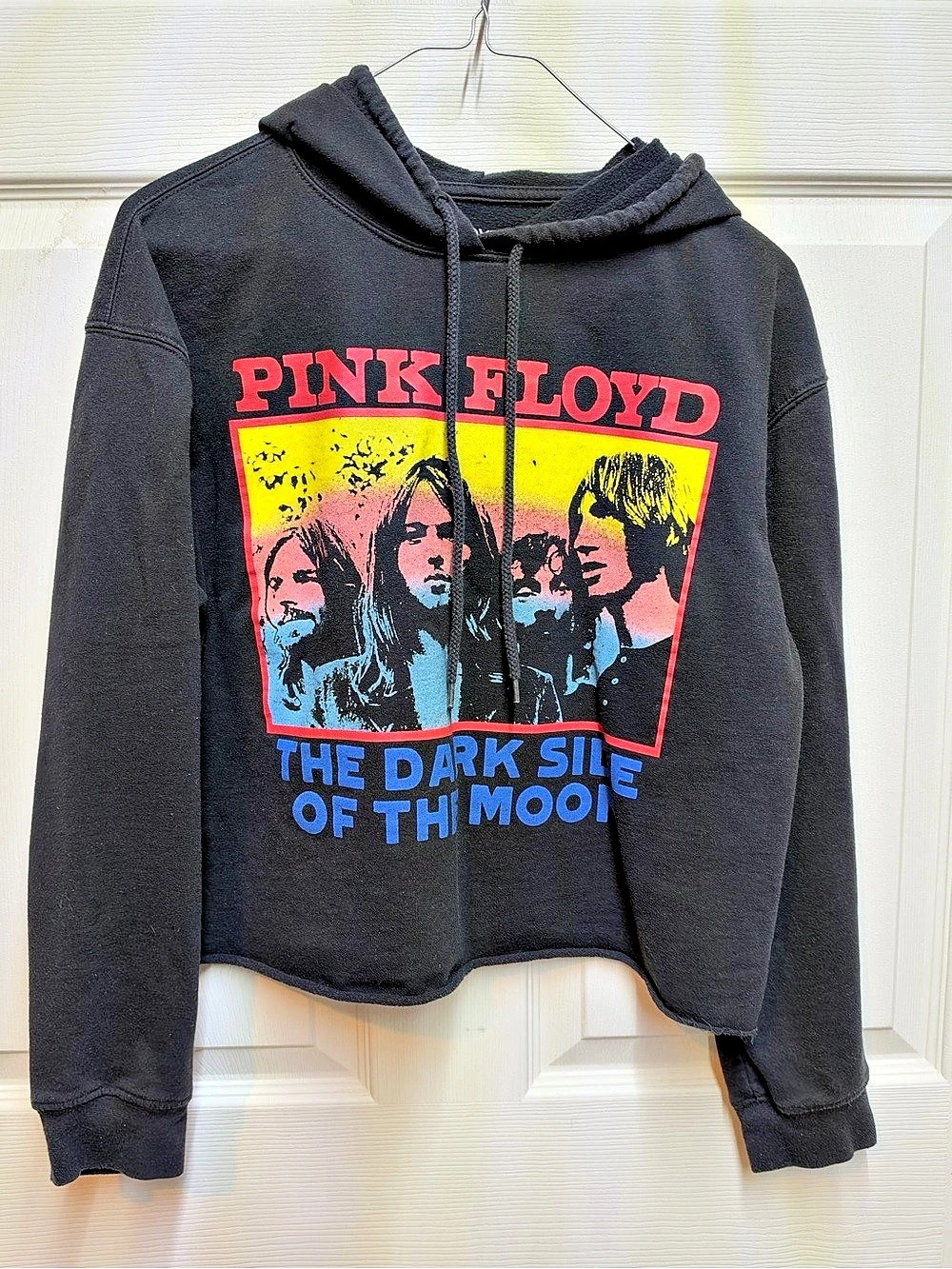 Pink Floyd The Dark Side of the Moon Cropped Hoodie Small